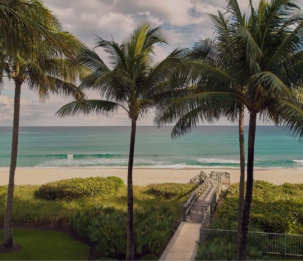 Palm trees and the boardwalk to the beach at The Boca Raton