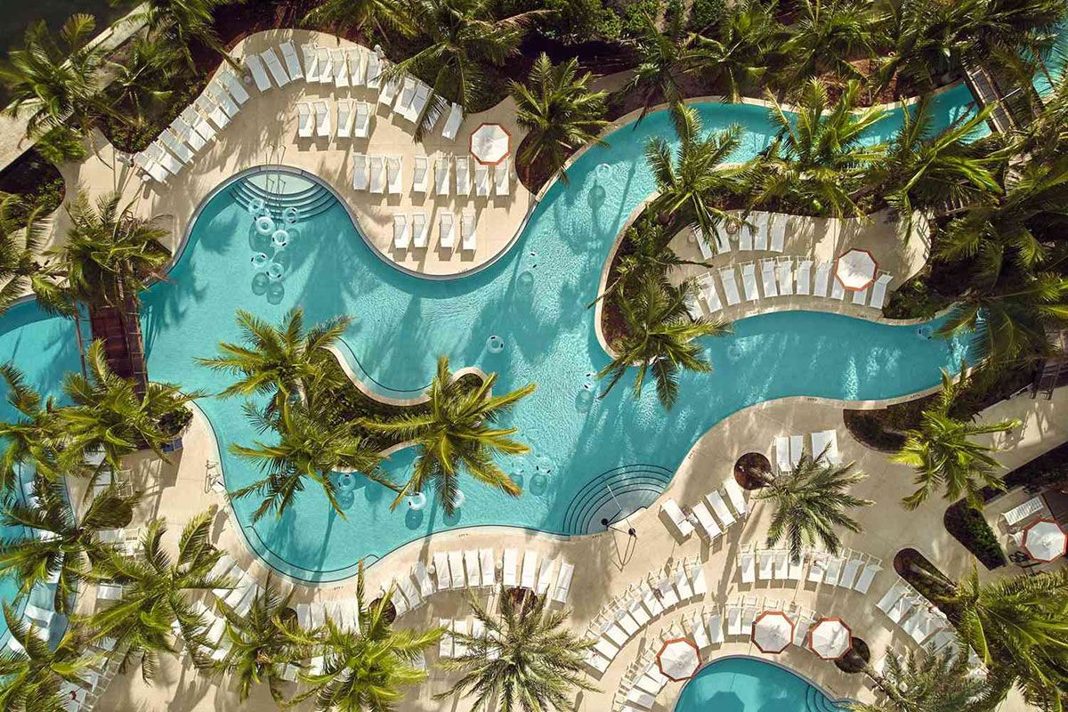 Aerial view of The Boca Raton's winding pool surrounded by palms and lounge chairs